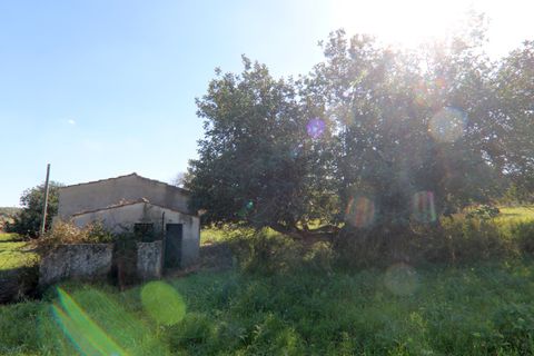 Herregård i Ispica, Ragusa, Ispica - € 120 000 | Ref: V003074 - foto 9